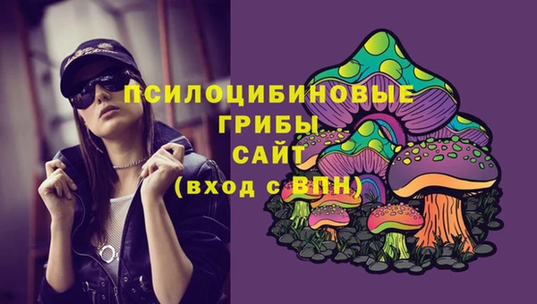 PSILOCYBIN Белоозёрский