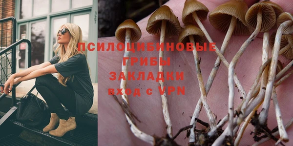 PSILOCYBIN Белоозёрский